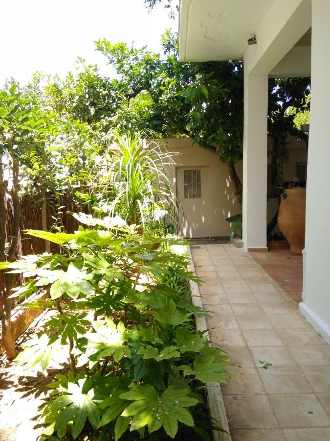 Appartement Zacharoula's *