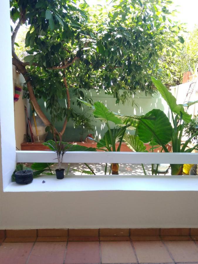 Zacharoula's Apartament